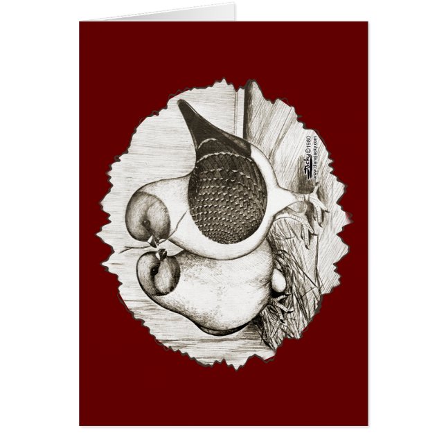 Modena Gazzi Pigeons (Front)