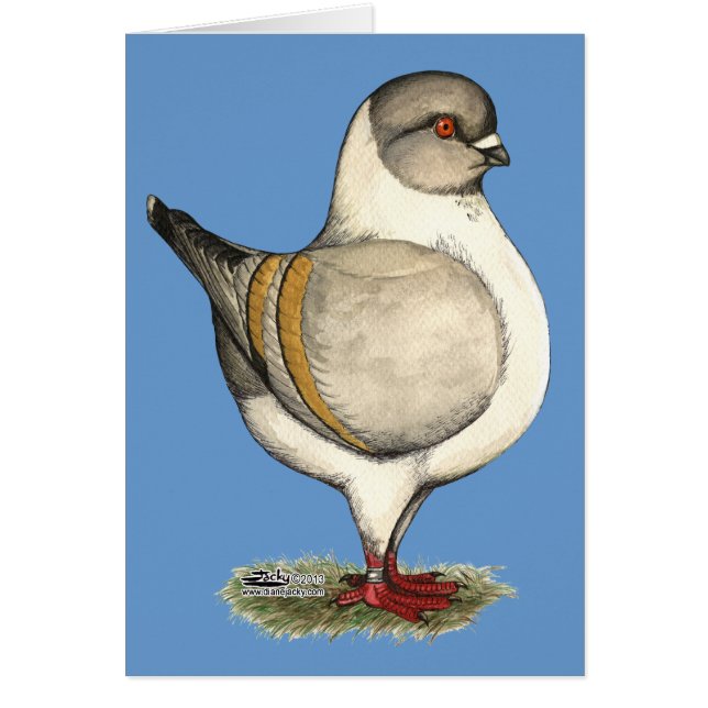 Modena Silver Gazzi (Front)