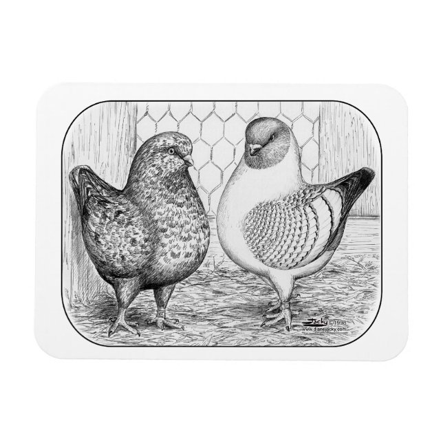 Modenas Two Pigeons Magnet (Horizontal)