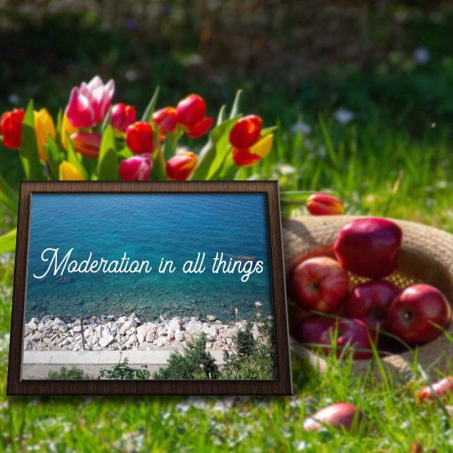 Modération en toutes choses mer proverbe poster (Créateur téléchargé)