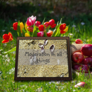 Modération en toutes choses sagesse dire affiche