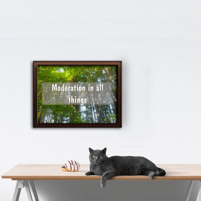 Moderation in all things Inspirational poster (Creator Uploaded)