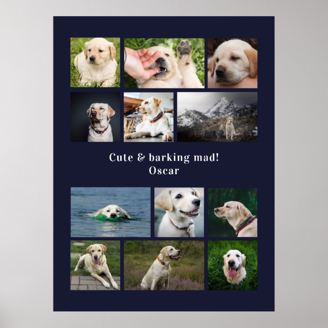 Modern 12 dog photo personalized collage poster (Front)