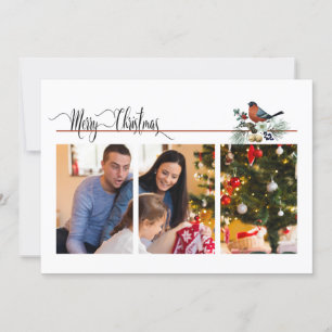 Modern 1 or 3 Photo With Robin Christmas 