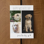 Modern 3 Photo Collage | From The Dog Holiday Card<br><div class="desc">For all the dog moms this mothers day! A gorgeous 3 photo collage mothers day card from the dog. Can be changed to any occassion and the template greeting is easily changed to suit the occassion, also the text font styles, sizes and colours can be changed by clicking on the...</div>