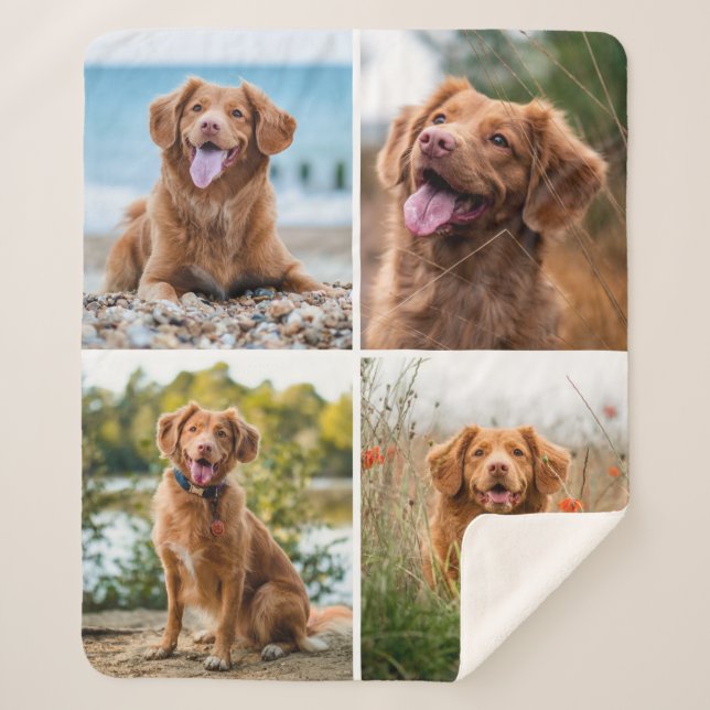 Modern 4 Photo Collage Dog Sherpa Blanket (Front)