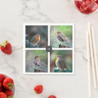 Modern 4 robin bird photos monogrammed