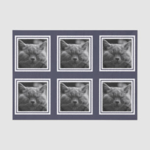 Modern 6 Instagram Style Photo Collage Custom Text Tissue Paper