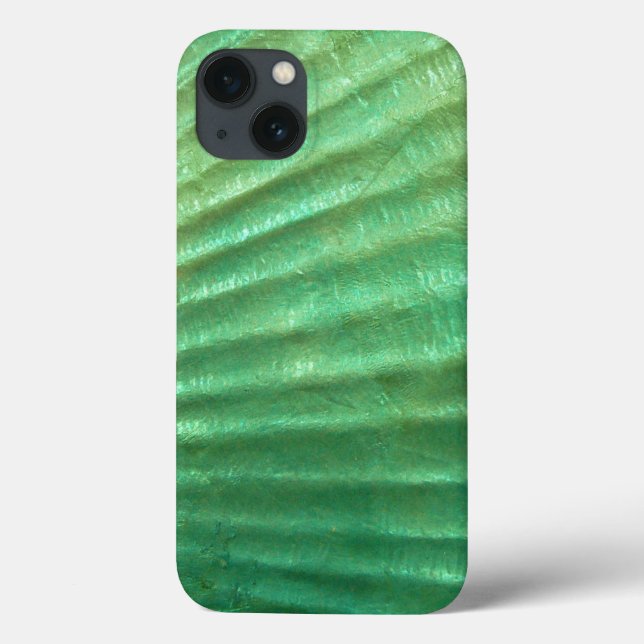 Modern Abalone Seashell Design iPad Mini Case (Back)