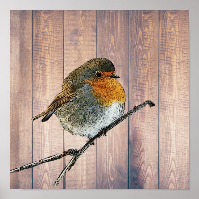 Modern abstract Robin bird on rustic barn wood Poster (Front)