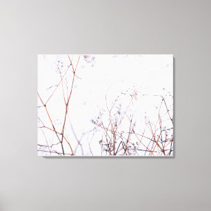 Modern Abstract Winter Wildflowers in Snow Canvas Print