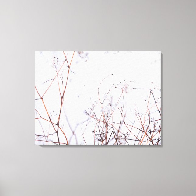 Modern Abstract Winter Wildflowers in Snow Canvas Print (Front)