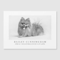 Modern And Simple Photo Pet Thanks Vet Nurses