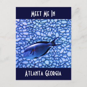 Modern Aquarium Postcard