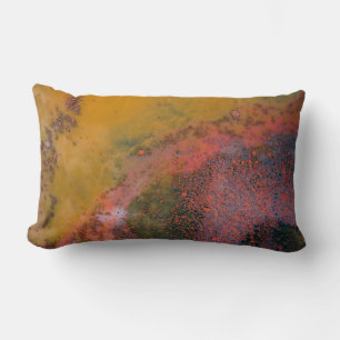 Modern art lumbar pillow