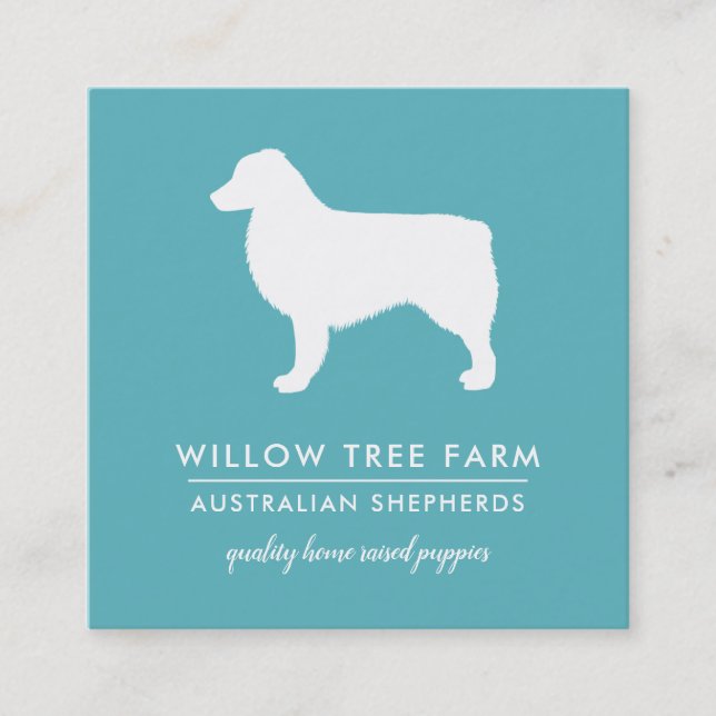 Modern Australian Shepherd Breeder | Social Media Square Business Card (Front)