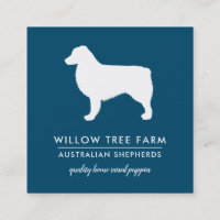 Modern Australian Shepherd Breeder | Social Media