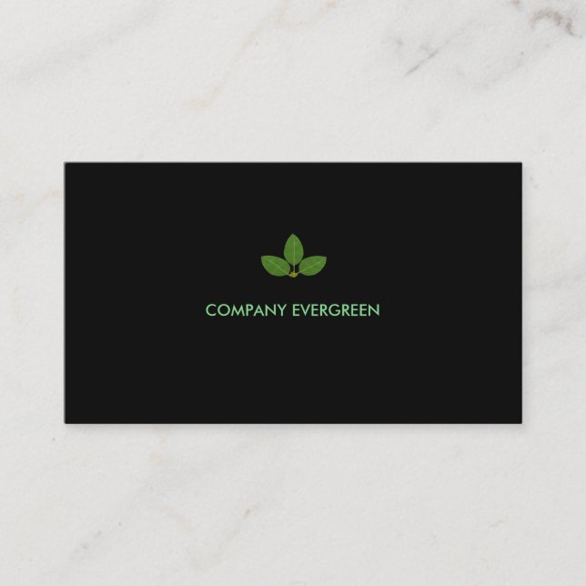 Modern Bay Leaves on Black Business Card (Front)