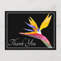 Modern Beautiful Bird of Paradise Floral Thank You