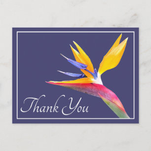 Modern Beautiful Bird of Paradise Floral Thank You Postcard