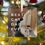 Modern BEST CAT DAD EVER Custom Photo Glass Ornament<br><div class="desc">Modern Best Cat Dad Ever Custom Photo Christmas Ornament. Perfect gift for cat lovers during the festive season.</div>