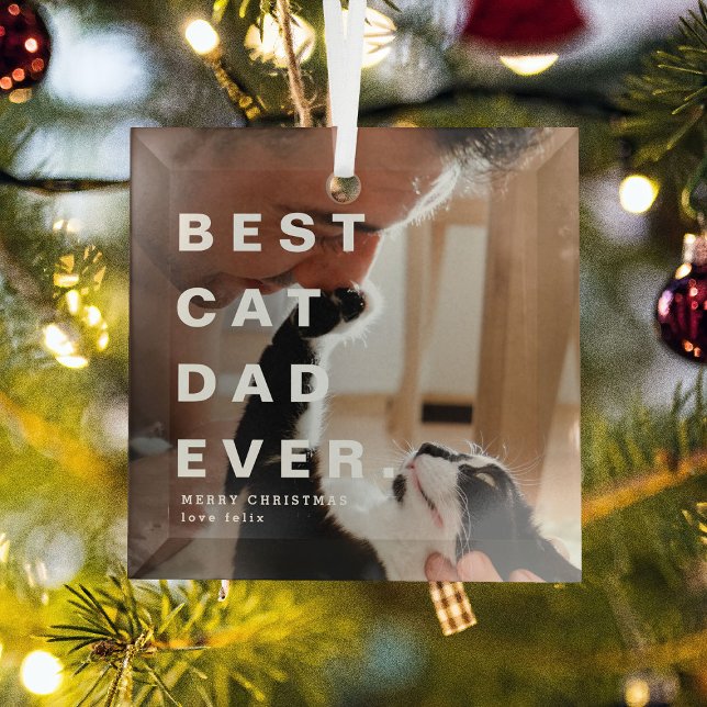 Modern BEST CAT DAD EVER Custom Photo Glass Ornament (Creator Uploaded)