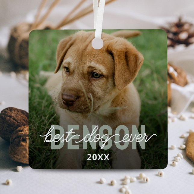 Modern Best Dog Ever Pet Photo Metal Ornament (Creator Uploaded)