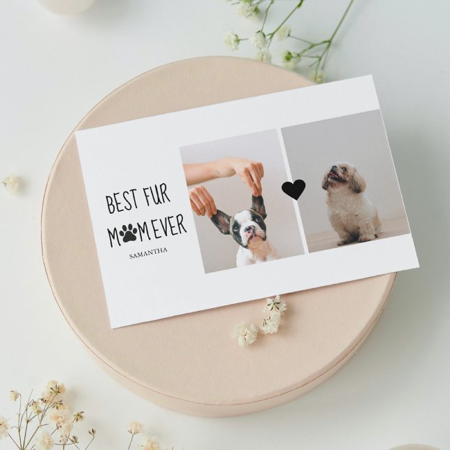 Modern Best Fur Mom Ever | Dog Photo (Creator Uploaded)