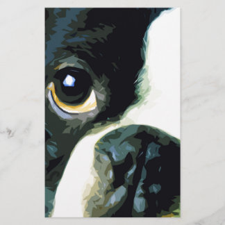 modern big Boston Terrier