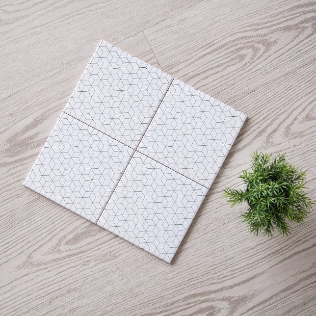 Modern Black and White Isometric Pattern  Tile (Creator Uploaded)