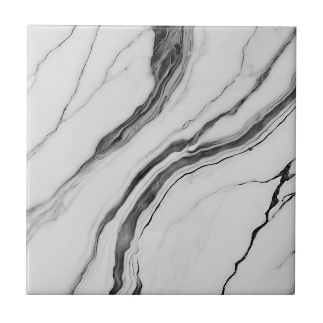 Modern Black and White Marble Tile (Front)
