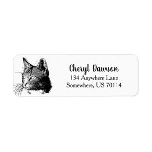 Modern Black & White Cat