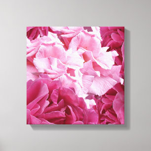 Modern boho pretty pink rose digital fine art canv canvas print