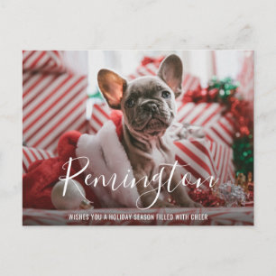 Modern Bold Name Dog Photo Elegant Christmas Holiday Postcard