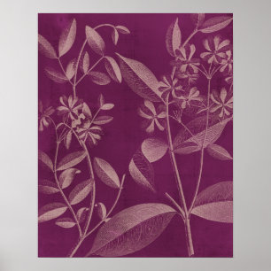 Modern Botany III Poster