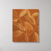 Modern Botany VI