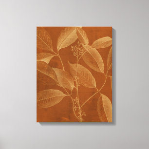 Modern Botany VI Canvas Print