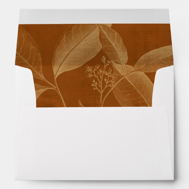 Modern Botany VI Envelope (Back (Bottom))