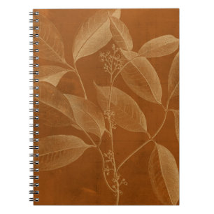 Modern Botany VI Notebook