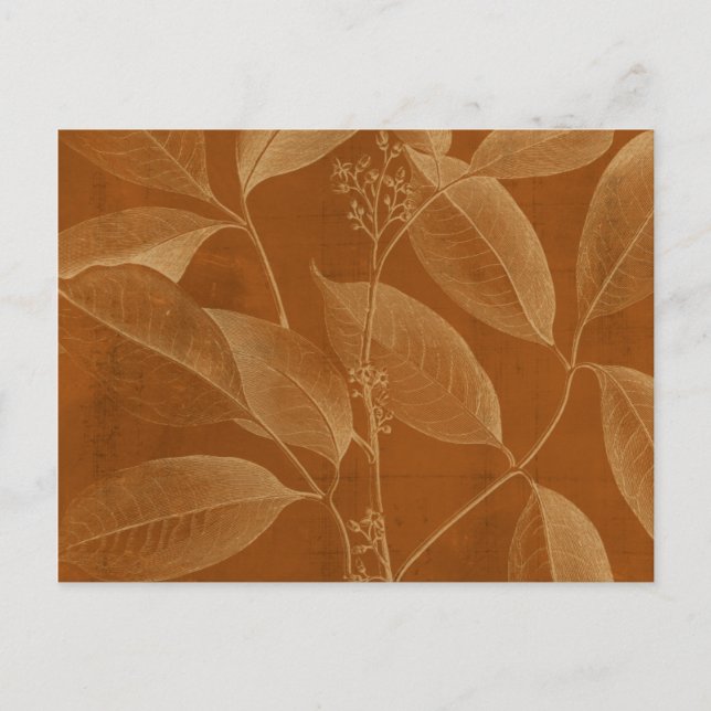 Modern Botany VI Postcard (Front)