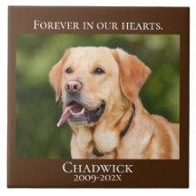 Modern Brown Add Photo Pet Memorial 