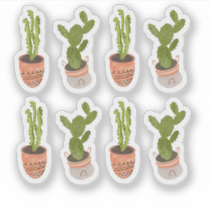 Modern Cactus Houseplants Hand Drawn Design
