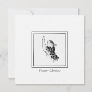 Modern Cat Chalk & Charcoal Black and White Sketch Card