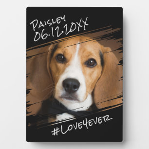 Modern Chic Elegant Simple Black Pet Dog Keepsake Plaque