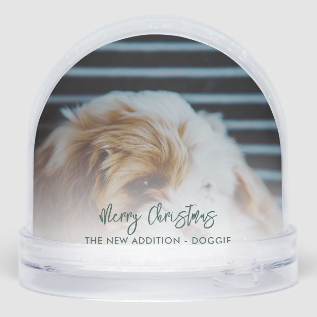 Modern Christmas Family and Pet Dog Photos Snowglobe (Back)