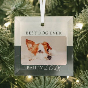 Modern Colour Block Custom Best Dog Ever Photo Glass Ornament