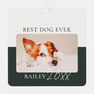 Modern Colour Block Custom Best Dog Ever Photo Metal Ornament