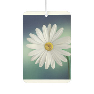 modern colourful elegante customizable design air freshener