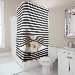 Modern combination funny dog Photo Stripes