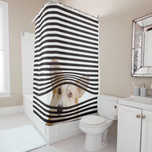 Modern combination funny dog Photo Stripes  (In Situ)